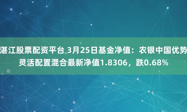 湛江股票配资平台 3月25日基金净值：农银中国优势灵活配置混合最新净值1.8306，跌0.68%