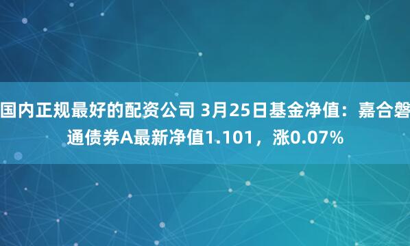国内正规最好的配资公司 3月25日基金净值：嘉合磐通债券A最新净值1.101，涨0.07%