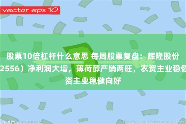股票10倍杠杆什么意思 每周股票复盘：辉隆股份（002556）净利润大增，薄荷醇产销两旺，农资主业稳健向好