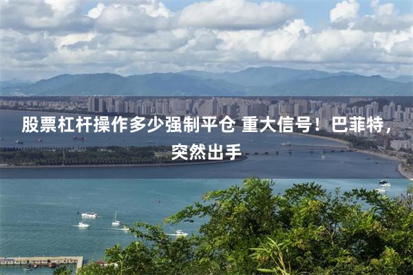 股票杠杆操作多少强制平仓 重大信号！巴菲特，突然出手