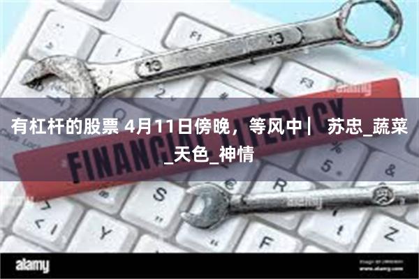 有杠杆的股票 4月11日傍晚，等风中 ▏苏忠_蔬菜_天色_神情