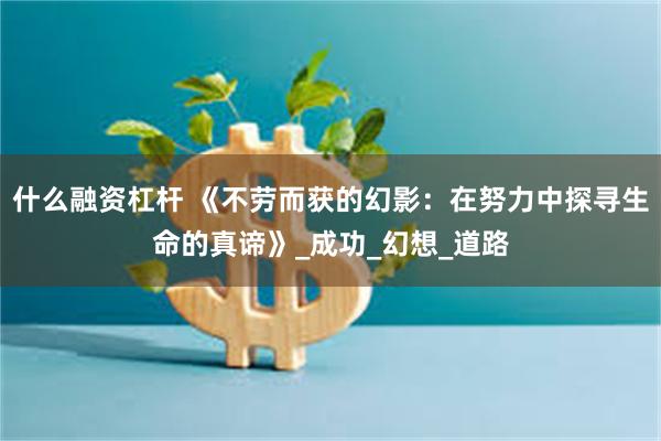 什么融资杠杆 《不劳而获的幻影：在努力中探寻生命的真谛》_成功_幻想_道路