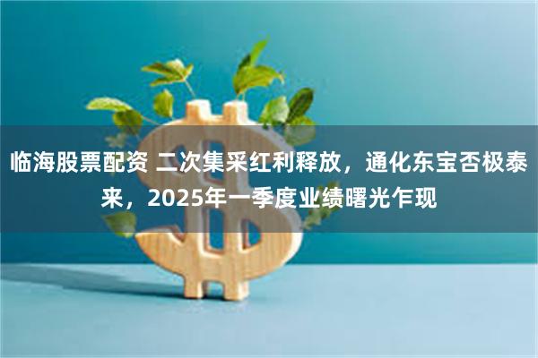 临海股票配资 二次集采红利释放，通化东宝否极泰来，2025年一季度业绩曙光乍现
