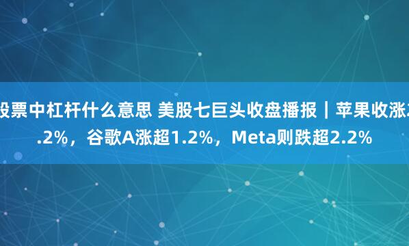 股票中杠杆什么意思 美股七巨头收盘播报｜苹果收涨2.2%，谷歌A涨超1.2%，Meta则跌超2.2%