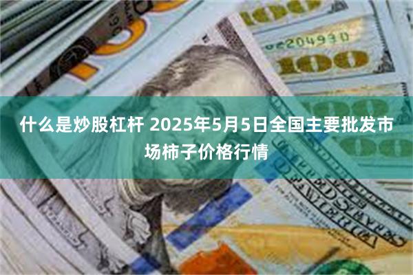 什么是炒股杠杆 2025年5月5日全国主要批发市场柿子价格行情