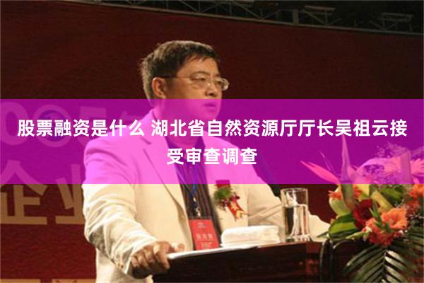 股票融资是什么 湖北省自然资源厅厅长吴祖云接受审查调查