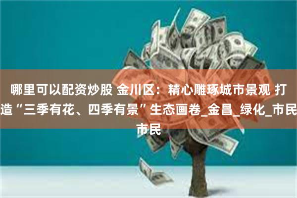 哪里可以配资炒股 金川区：精心雕琢城市景观 打造“三季有花、四季有景”生态画卷_金昌_绿化_市民