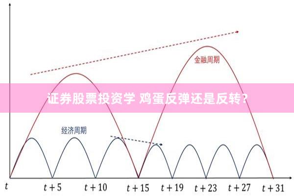 证券股票投资学 鸡蛋反弹还是反转？