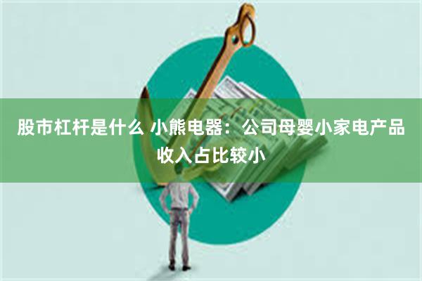股市杠杆是什么 小熊电器：公司母婴小家电产品收入占比较小