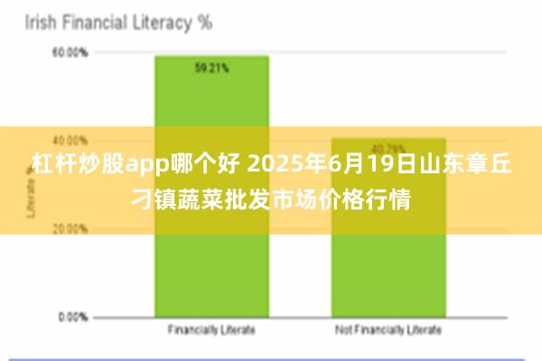 杠杆炒股app哪个好 2025年6月19日山东章丘刁镇蔬菜批发市场价格行情