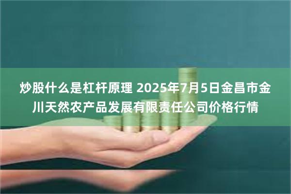 炒股什么是杠杆原理 2025年7月5日金昌市金川天然农产品发展有限责任公司价格行情