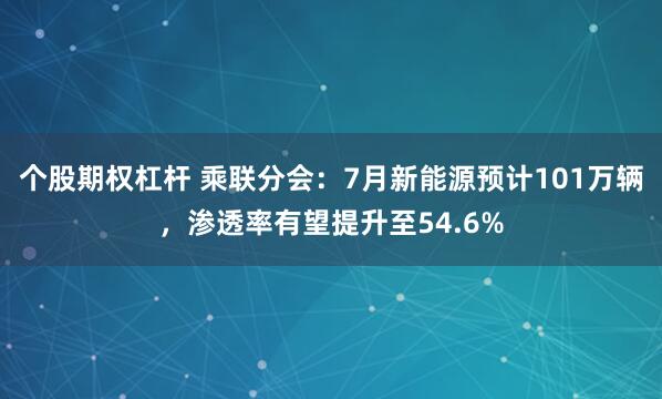 个股期权杠杆 乘联分会：7月新能源预计101万辆，渗透率有望提升至54.6%