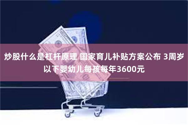 炒股什么是杠杆原理 国家育儿补贴方案公布 3周岁以下婴幼儿每孩每年3600元
