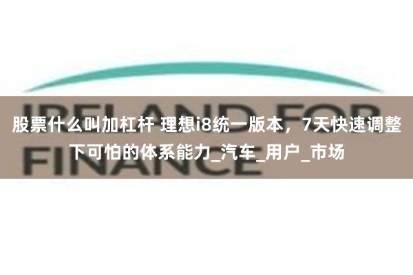 股票什么叫加杠杆 理想i8统一版本，7天快速调整下可怕的体系能力_汽车_用户_市场