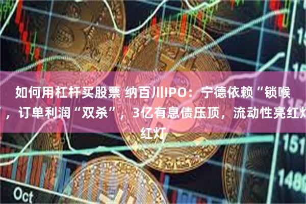 如何用杠杆买股票 纳百川IPO：宁德依赖“锁喉”，订单利润“双杀”，3亿有息债压顶，流动性亮红灯