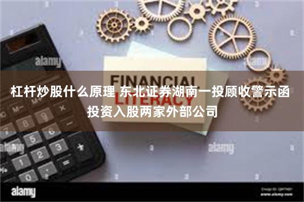 杠杆炒股什么原理 东北证券湖南一投顾收警示函 投资入股两家外部公司