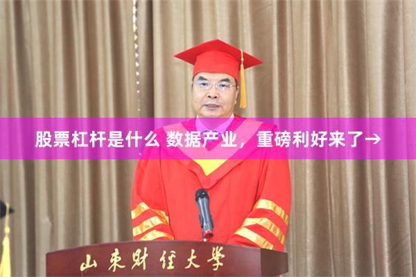 股票杠杆是什么 数据产业,重磅利好来了→
